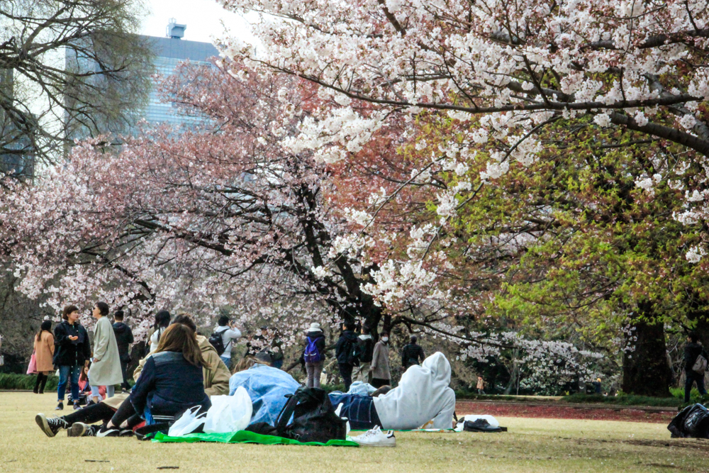 Shinjuku Gyoen1