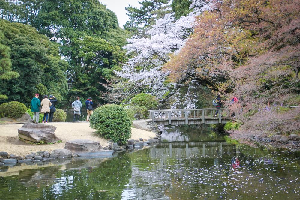 Shinjuku Gyoen4