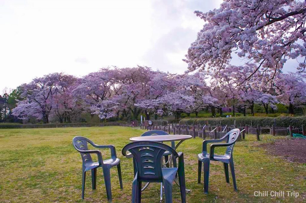 Jindai Botanical Garden