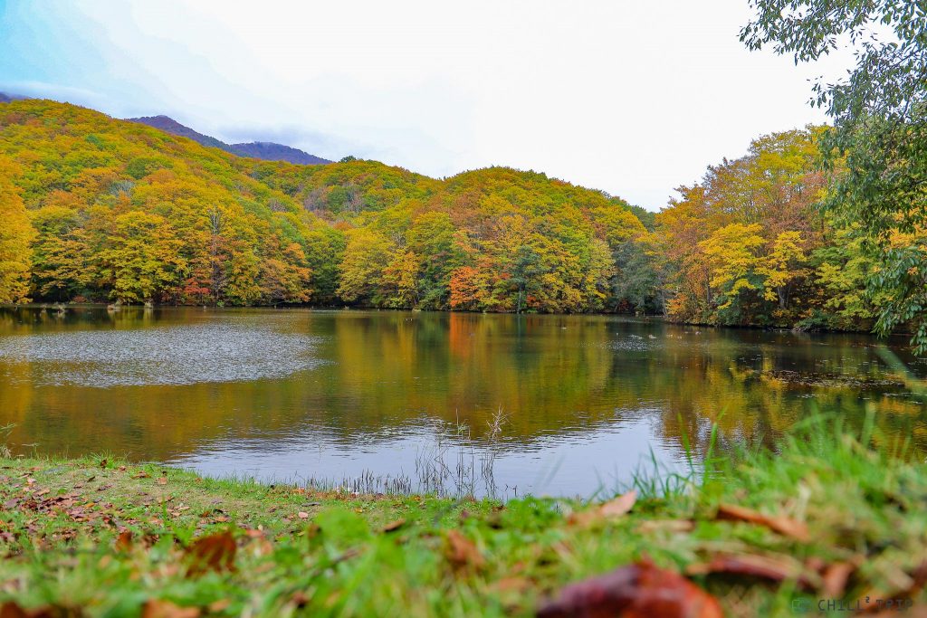 Magarisawa pond