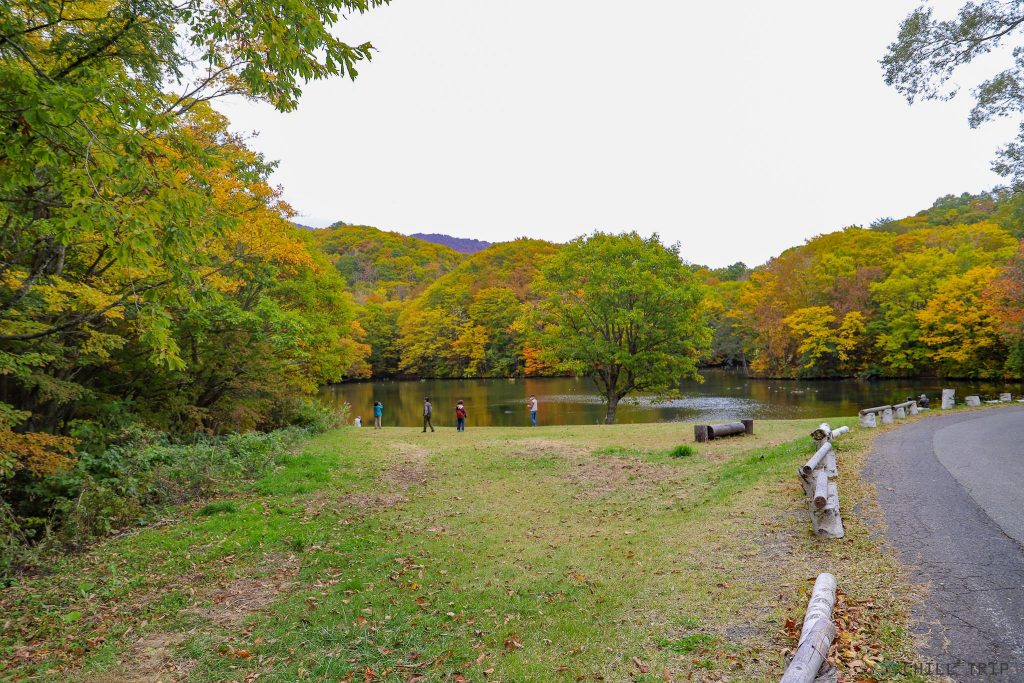 Magarisawa pond