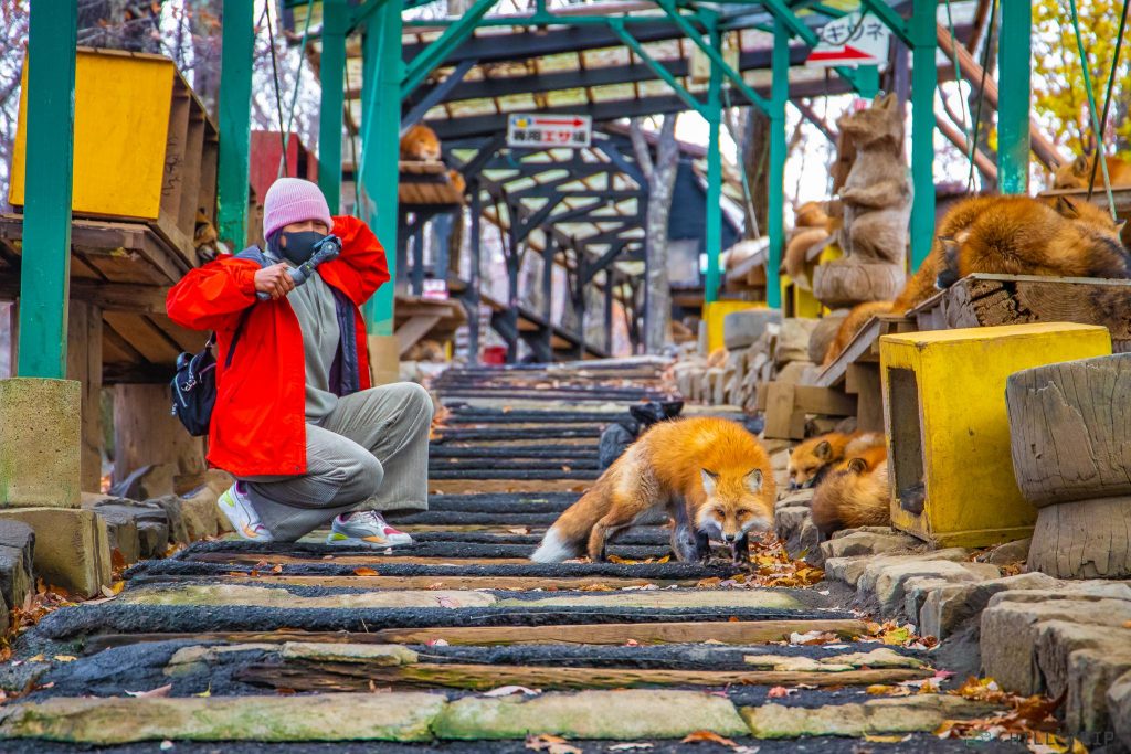 Zao Fox Village