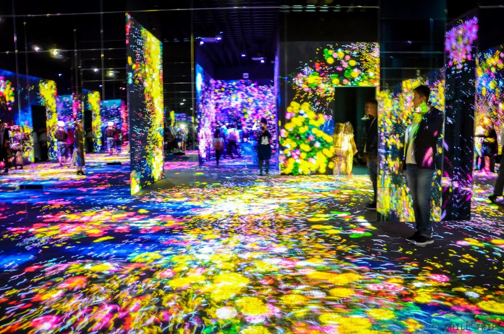 TeamLab Borderless