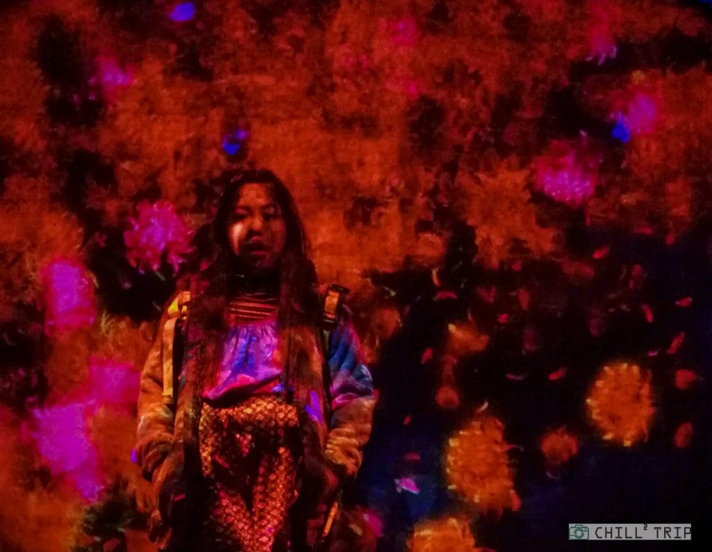 TeamLab Borderless