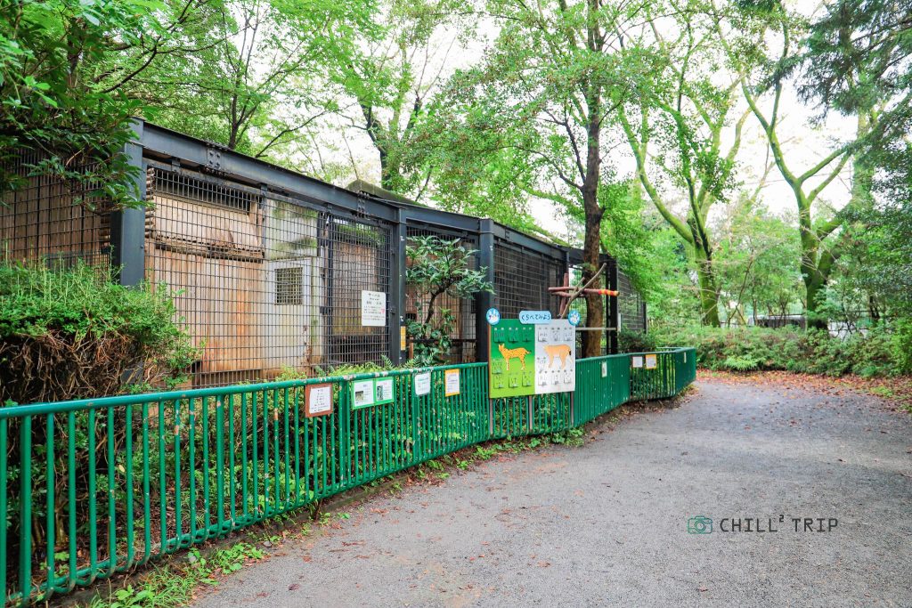 สวนสัตว์ฮามุระ (Hamura zoo)