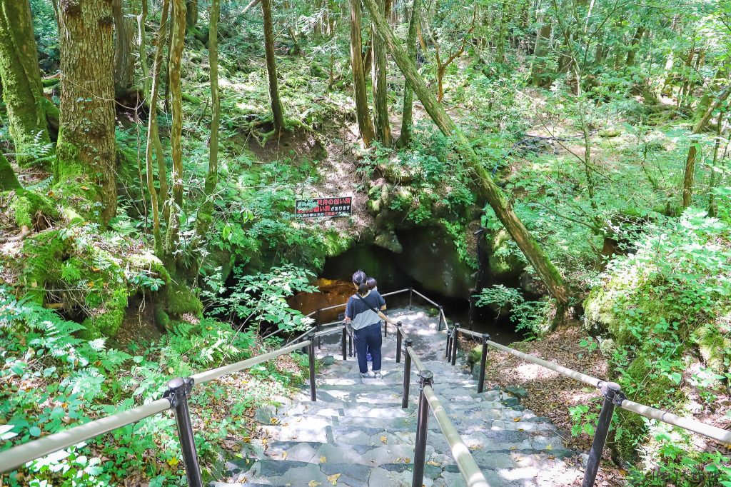 ถ้ำลมฟูจิฟุกาคุ Fugaku Lava Cave 