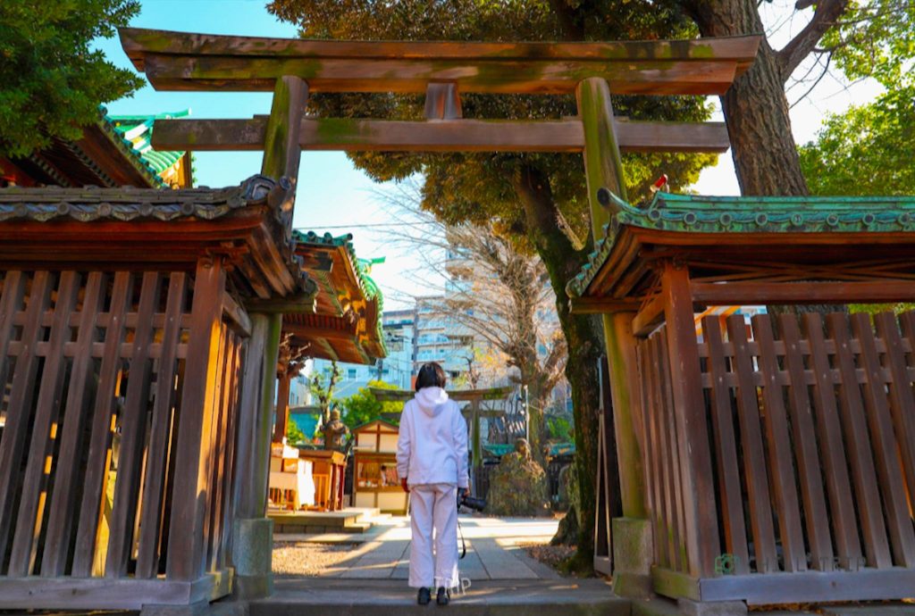 Ushijima shrine ศาลเจ้าอุชิจิมะ 