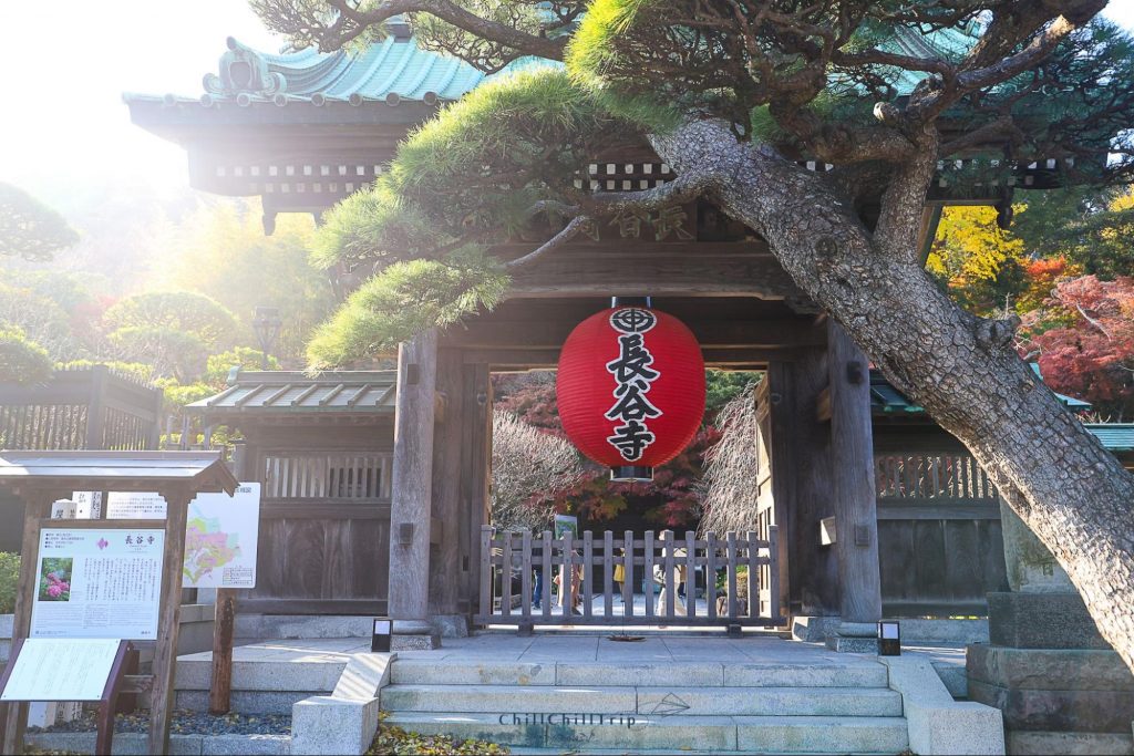 Kotokuin Temple (วัดโคโตะกุอิน)