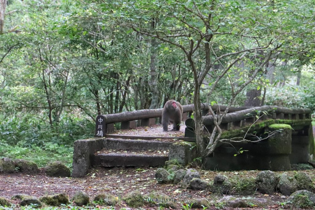 Karasawa Cirque ในคามิโคจิ (Kamikochi)
