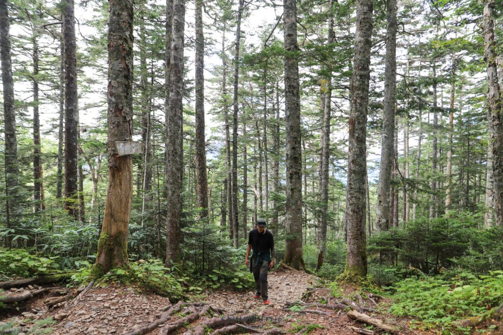 Karasawa Cirque ในคามิโคจิ (Kamikochi)