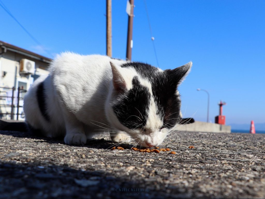 เกาะซานางิ