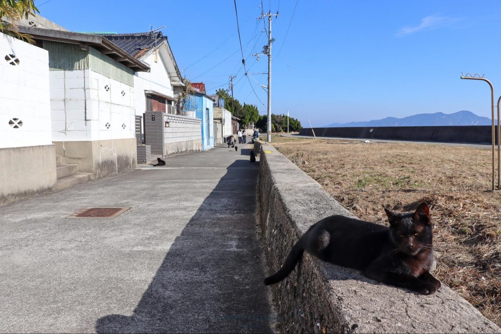 เกาะซานางิ