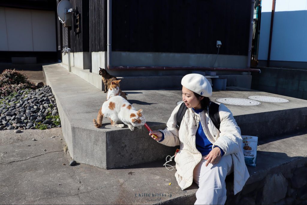 เกาะซานางิ