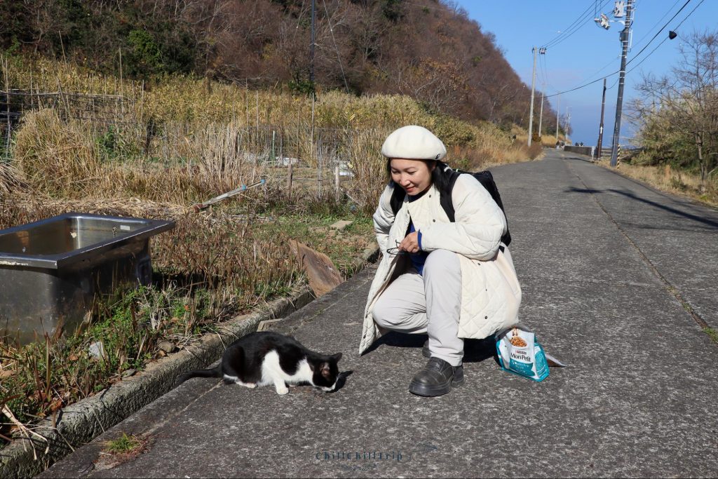 เกาะซานางิ
